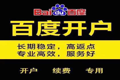百度SEO推广公司案例分享：实战经验谈